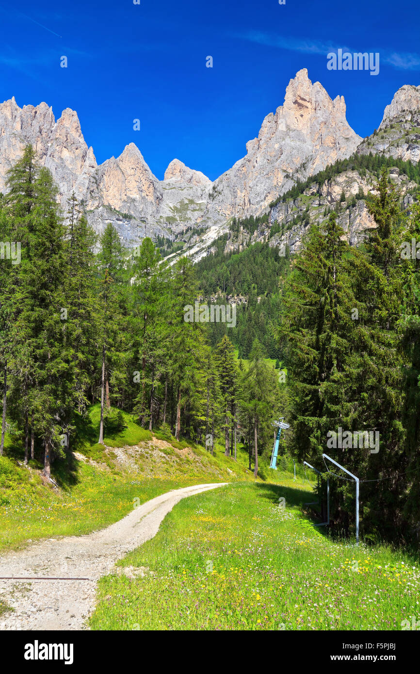 Paysage d'été des Dolomites italiennes en Vaiolet Valley. Arrière-plan sur le mont Catinaccio, Trentin, Italie Banque D'Images
