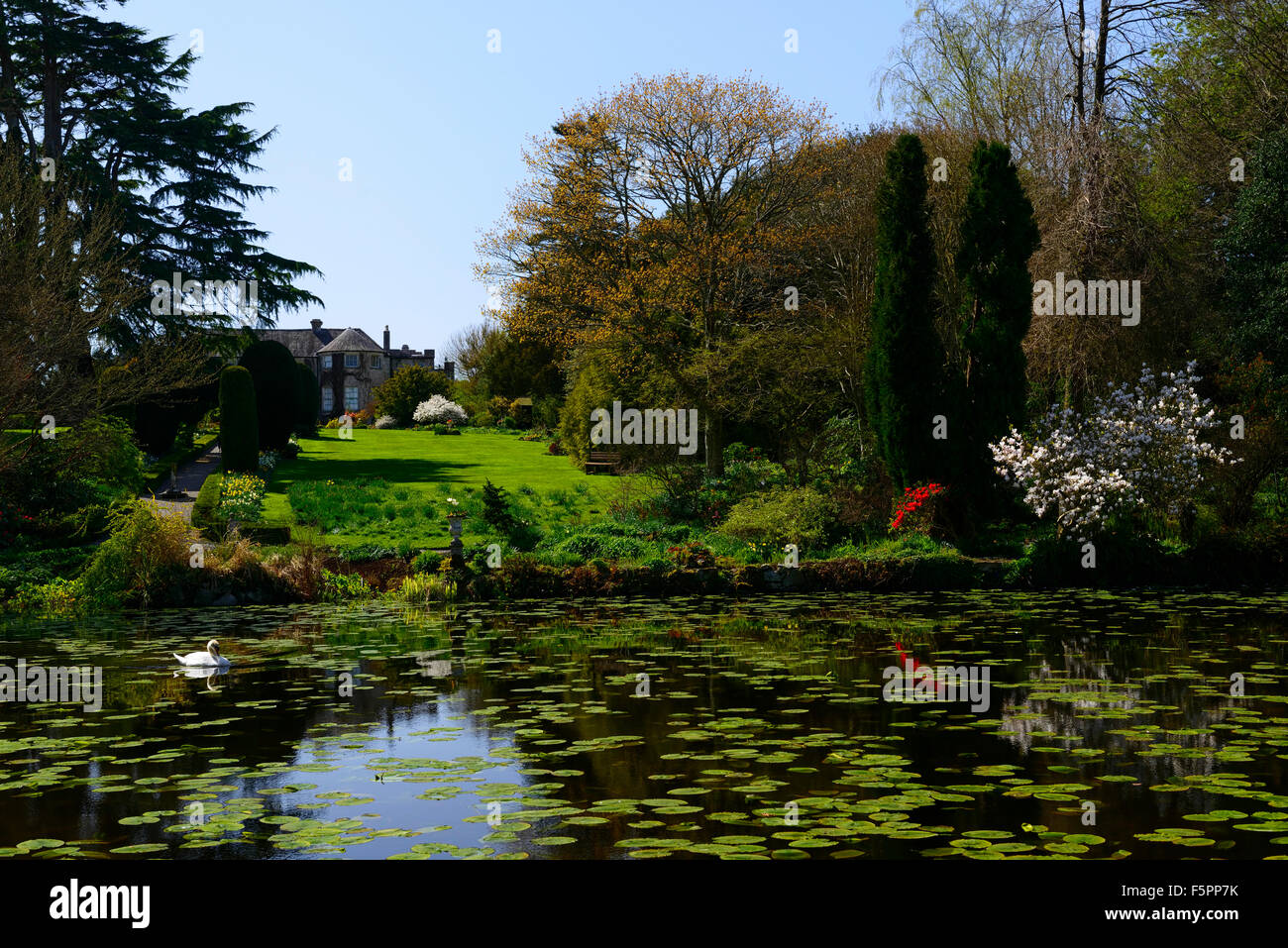 Altamont gardens garden lake spring flower afficher couleur coloré Carlow Irlande floral RM Banque D'Images