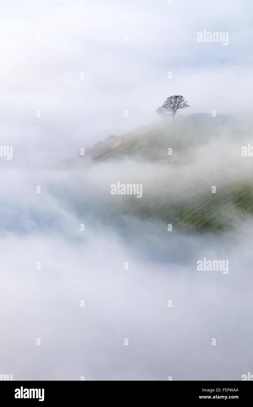 Le brouillard qui passent au travers des champs dans le Peak District National Park, Royaume-Uni Banque D'Images