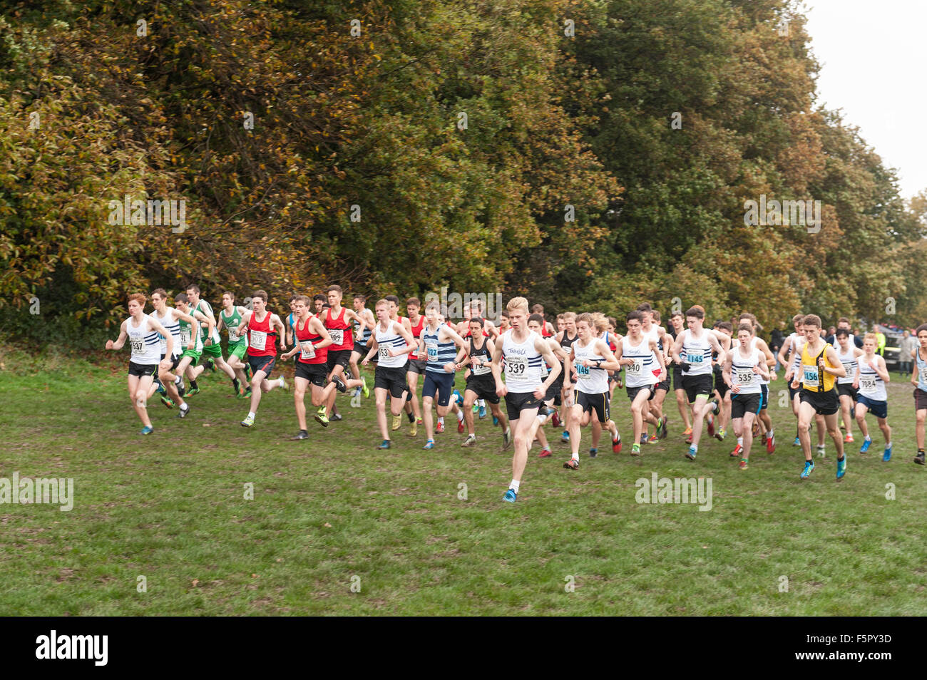 La ligne de masse d'hommes en course cross-country sur un jour d'automne humide pluie prêt sur la ligne de départ du sprint sur herbe boueuse Banque D'Images