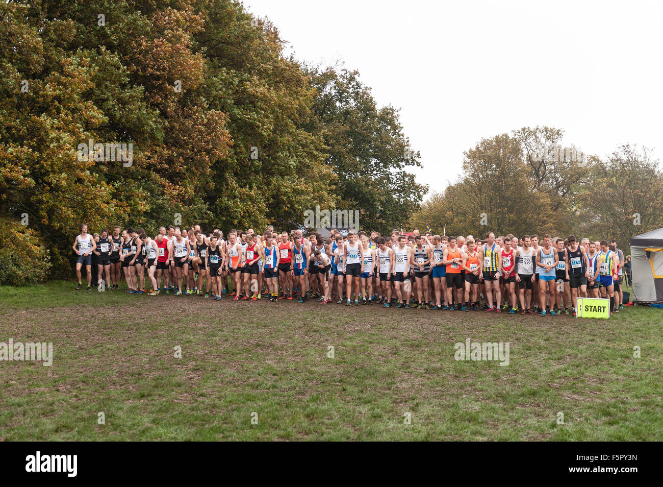 La ligne de masse d'hommes prêts à participer à la course de cross country sur un jour d'automne humide pluie prêt sur la ligne de départ en attente de gun Banque D'Images La ligne de masse d'hommes prêts à participer à la course de cross country sur un jour d'automne humide pluie prêt sur la ligne de départ en attente de gun Banque D'Images