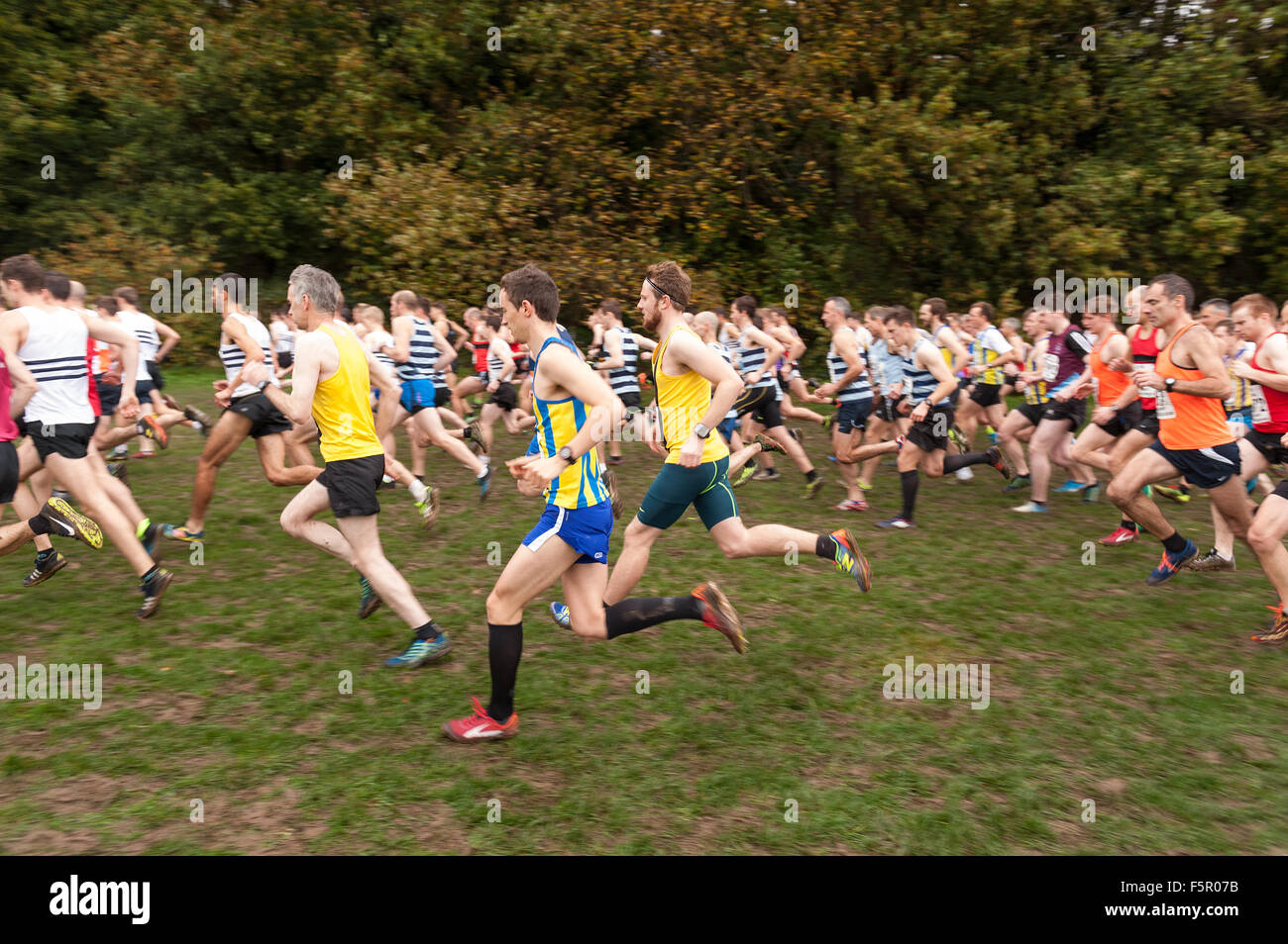 La ligne de masse d'hommes prêts à participer à la course de cross country sur un jour d'automne humide pluie prêt sur la ligne de départ en attente de gun Banque D'Images La ligne de masse d'hommes prêts à participer à la course de cross country sur un jour d'automne humide pluie prêt sur la ligne de départ en attente de gun Banque D'Images