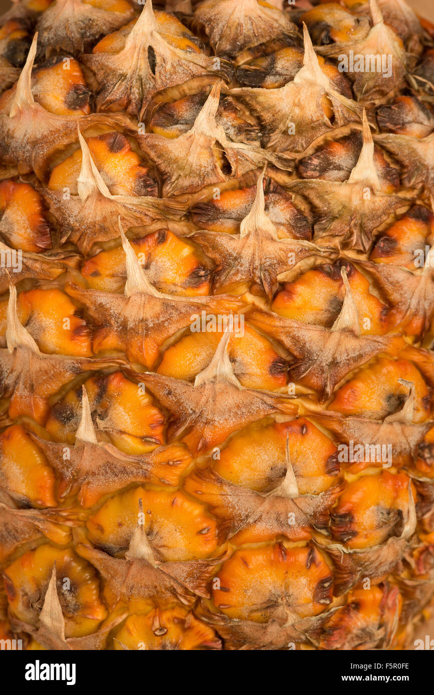 Juteux et prêt à manger de l'ananas orange lumineux extérieur montrant schéma des écailles superposées Banque D'Images