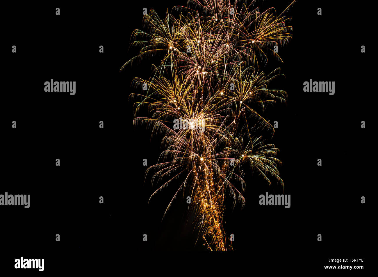 Feu d'artifice de nuit Banque D'Images