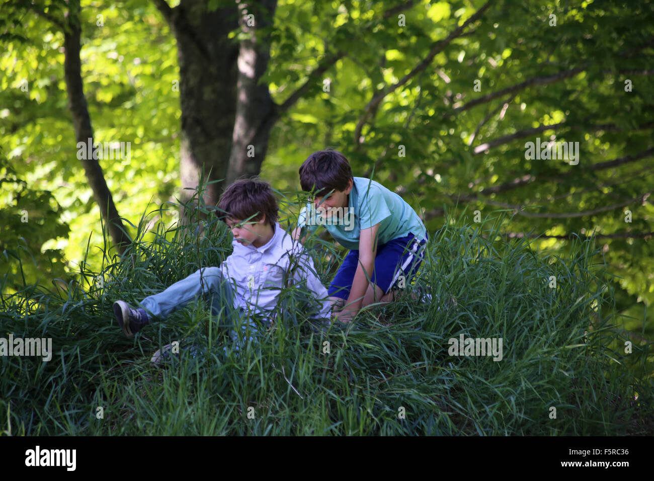 Deux frères jouant sur une colline herbeuse un soir d'été, Maine, USA Banque D'Images