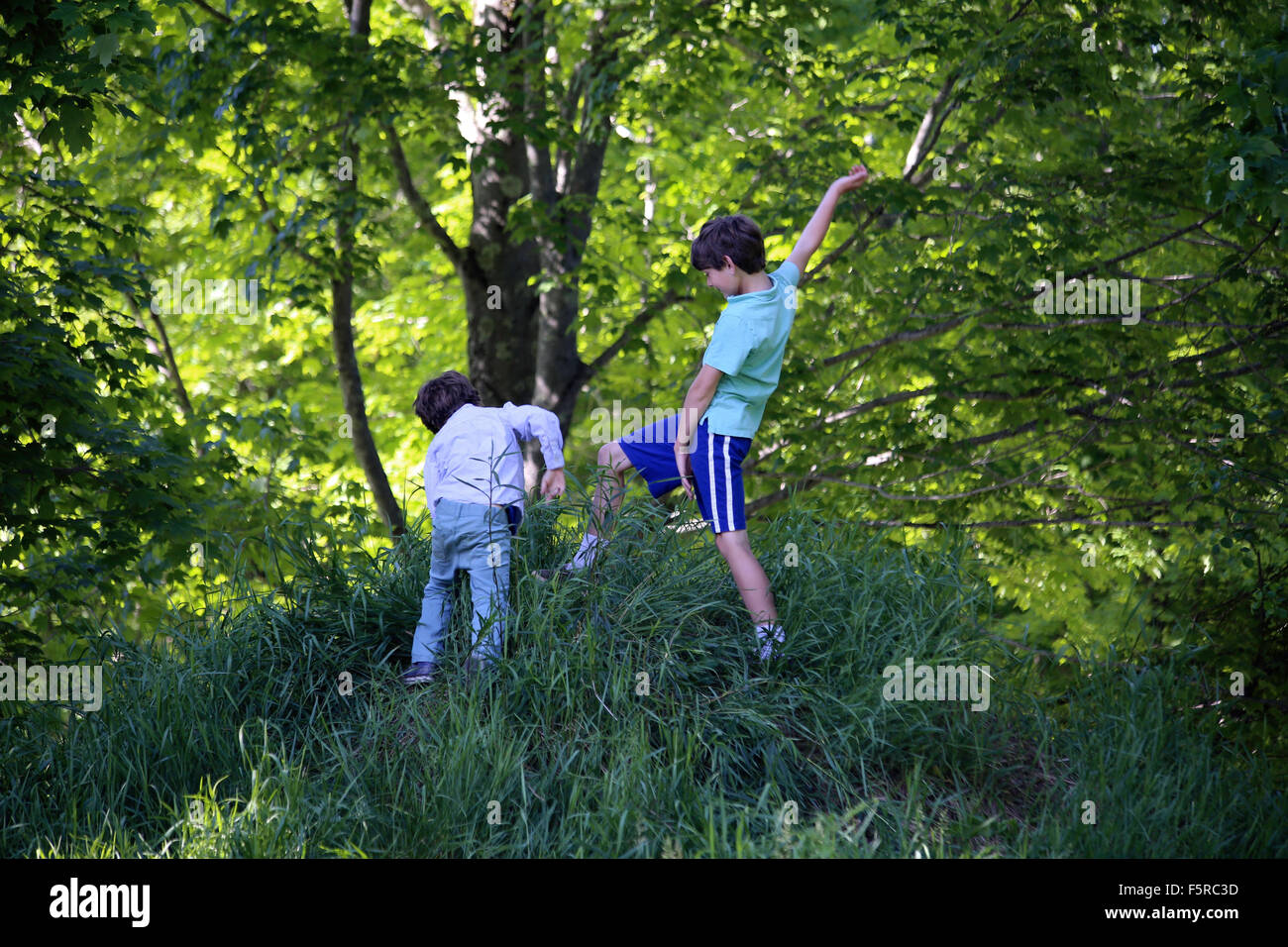 Deux garçons jouant sur colline herbeuse dans une soirée d'été, Yarmouth Maine, USA Banque D'Images