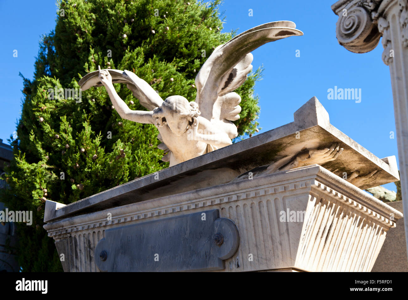 Le cimetière en Cimetière du Château de Nice, France Banque D'Images