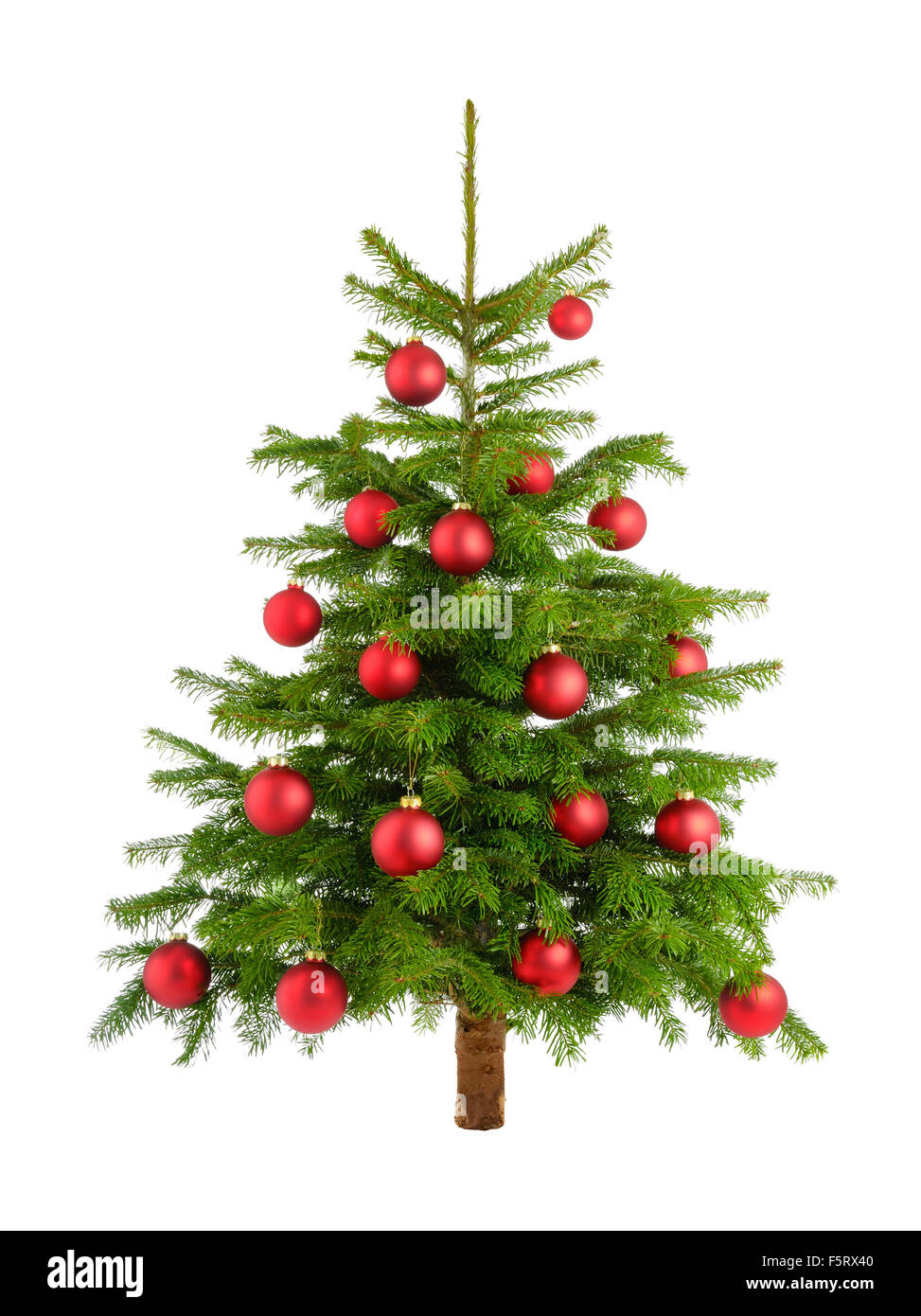 Nettoyer studio shot of un arbre de Noël décoré avec des boules rouges, isolated on white Banque D'Images