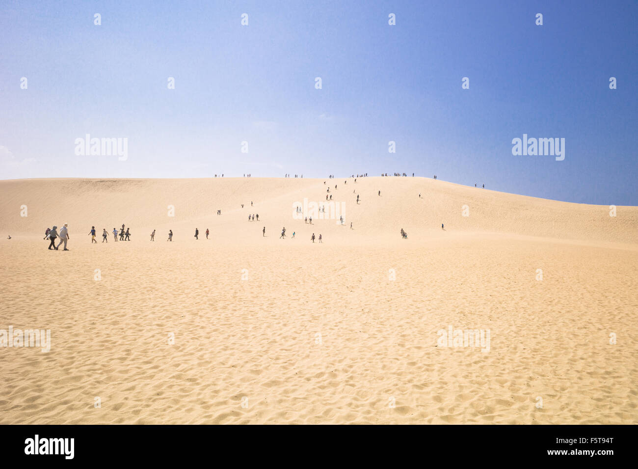 Les dunes de sable de Tottori - Japon Banque D'Images