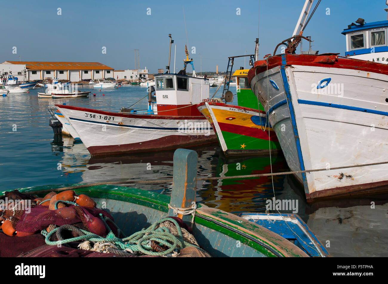 Port de pêche, Isla Cristina, province de Huelva, Andalousie, Espagne, Europe Banque D'Images
