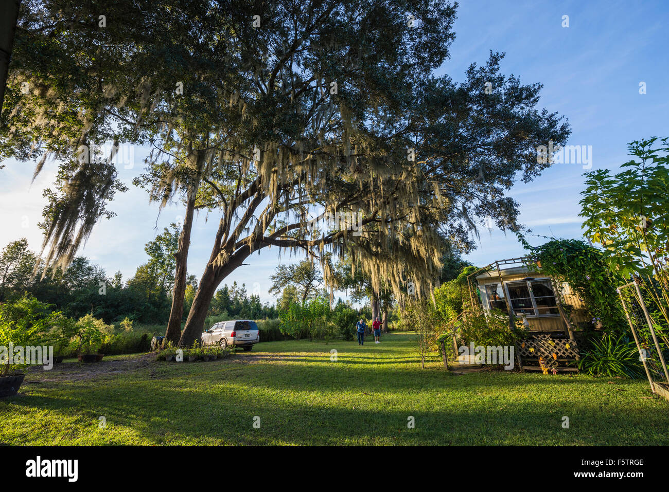 Cadre idyllique pour un simple mode de vie rural dans le centre-nord de la Floride. Banque D'Images