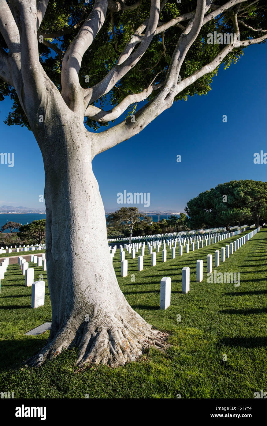 Les rangées de pierres tombales sur la pelouse à Ft Rosecrans National Cemetery, Point Loma, San Diego, Californie Banque D'Images