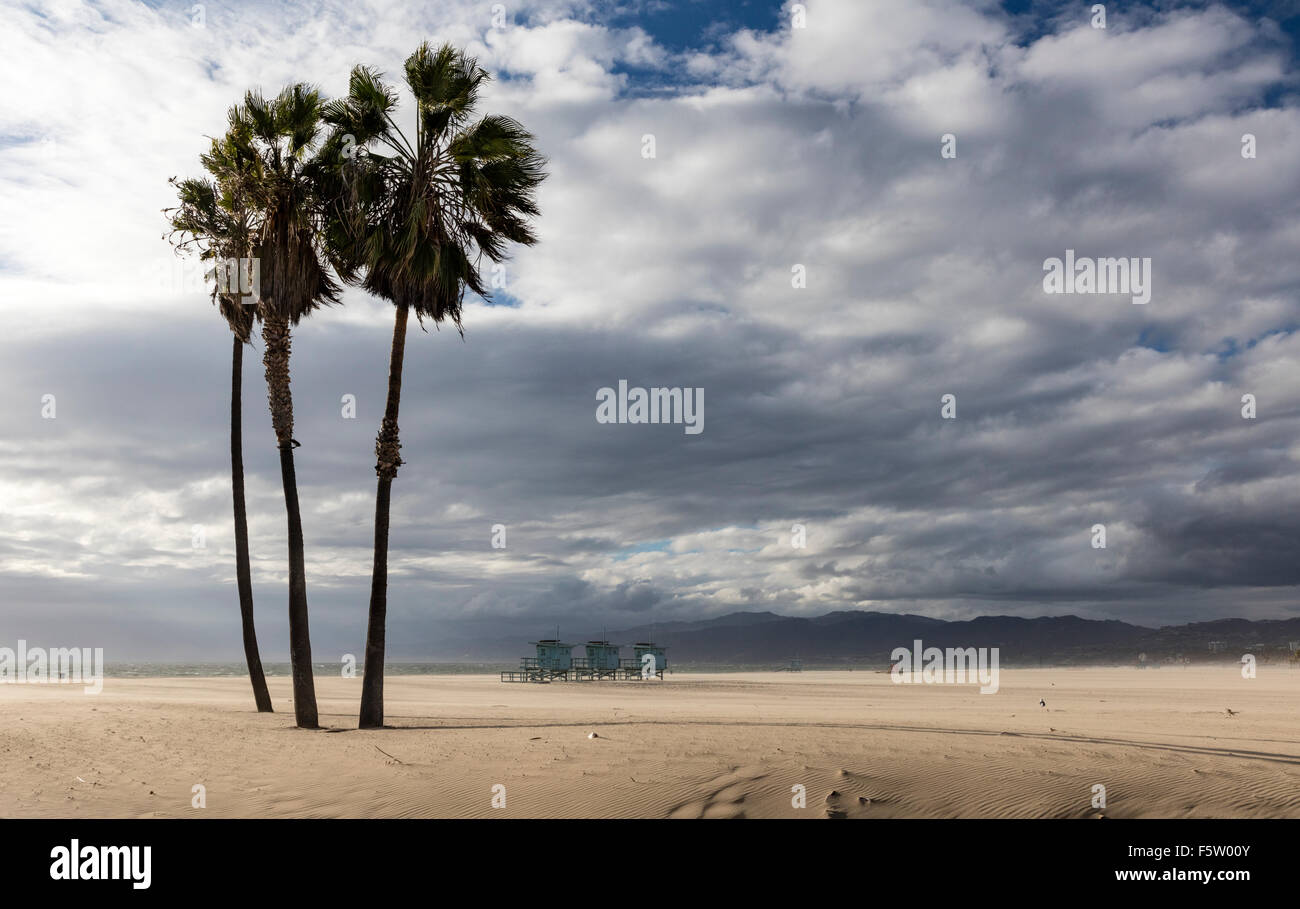 Windswept Venice Beach, Californie avec ridée et chasse-sable, palmiers, et les stations de sauveteur Banque D'Images