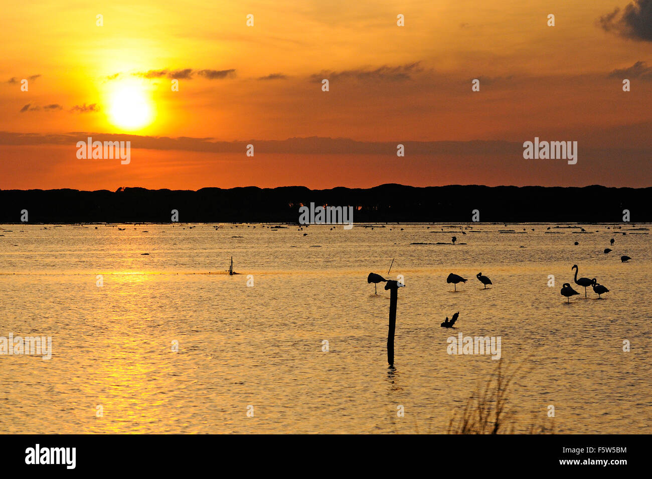 Le coucher du soleil sur l'étang s'Ena Arrubia, Arbora, Sardaigne, Italie Banque D'Images