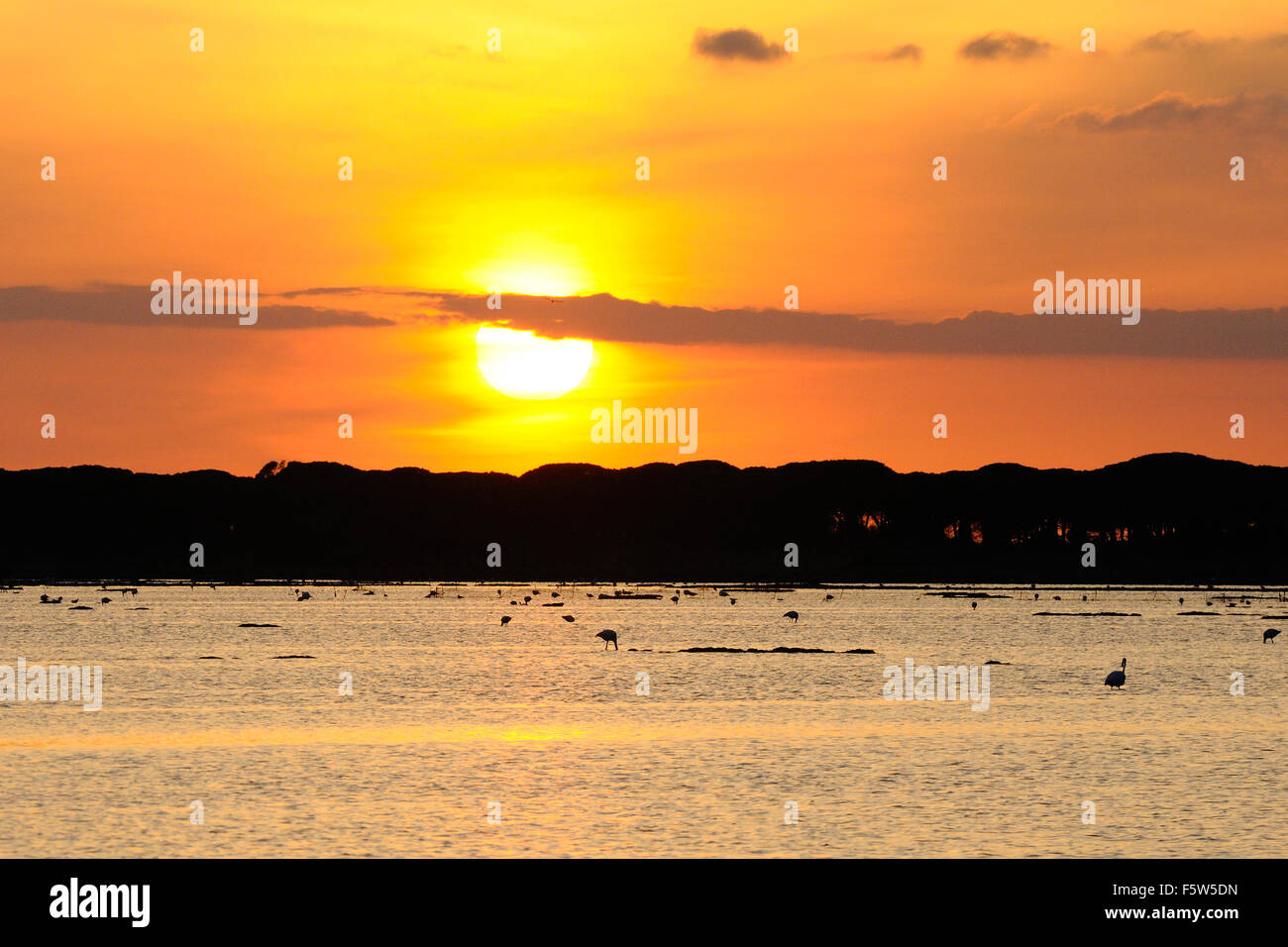 Le coucher du soleil sur l'étang s'Ena Arrubia, Arbora, Sardaigne, Italie Banque D'Images