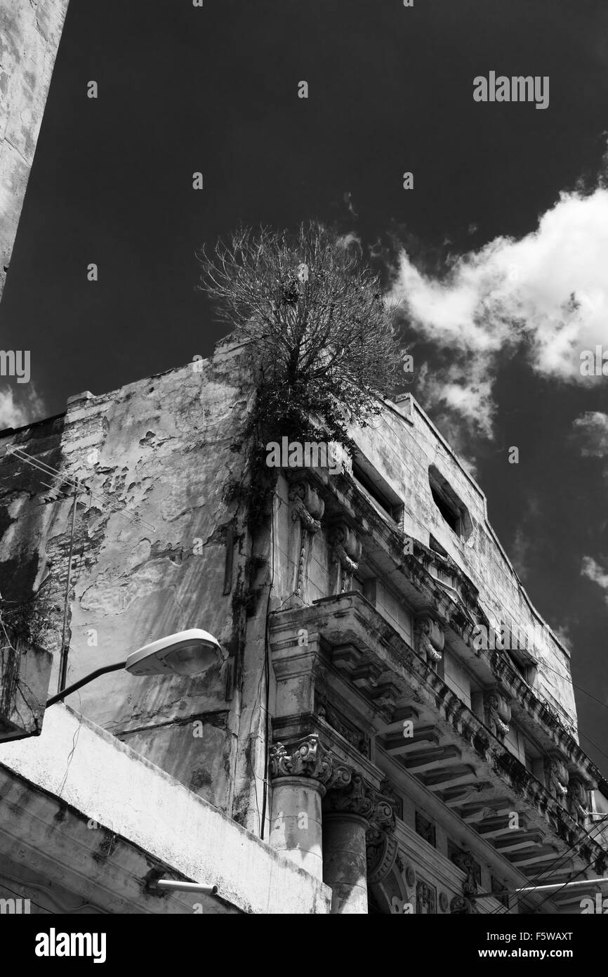 B&W-image d'une vieille maison de style colonial au centre de la vieille ville de La Havane, Cuba. Banque D'Images