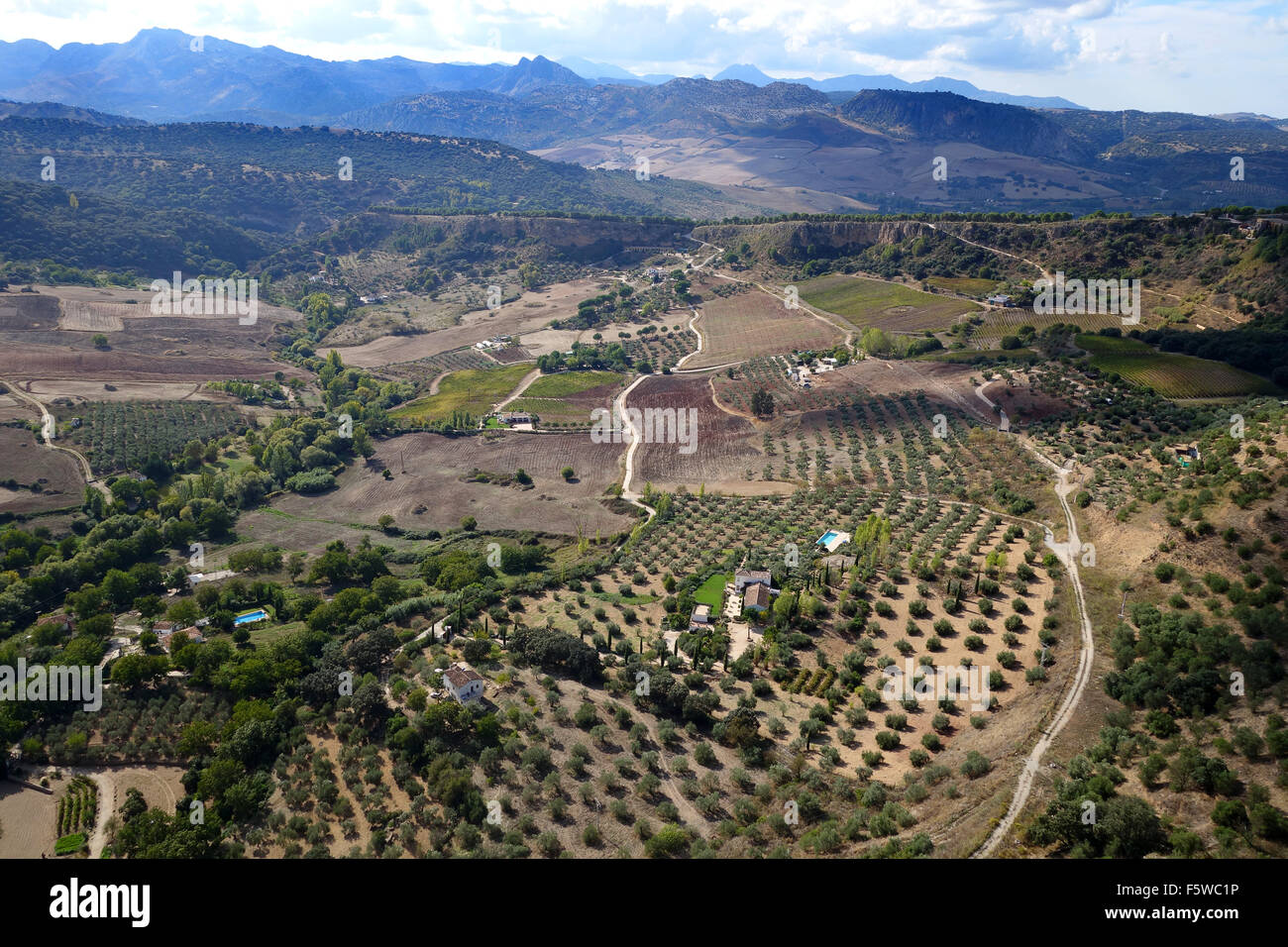 Vue panoramique à partir de Ronda en Andalousie Espagne Recherche vers le Parc National de Grazalema. Banque D'Images