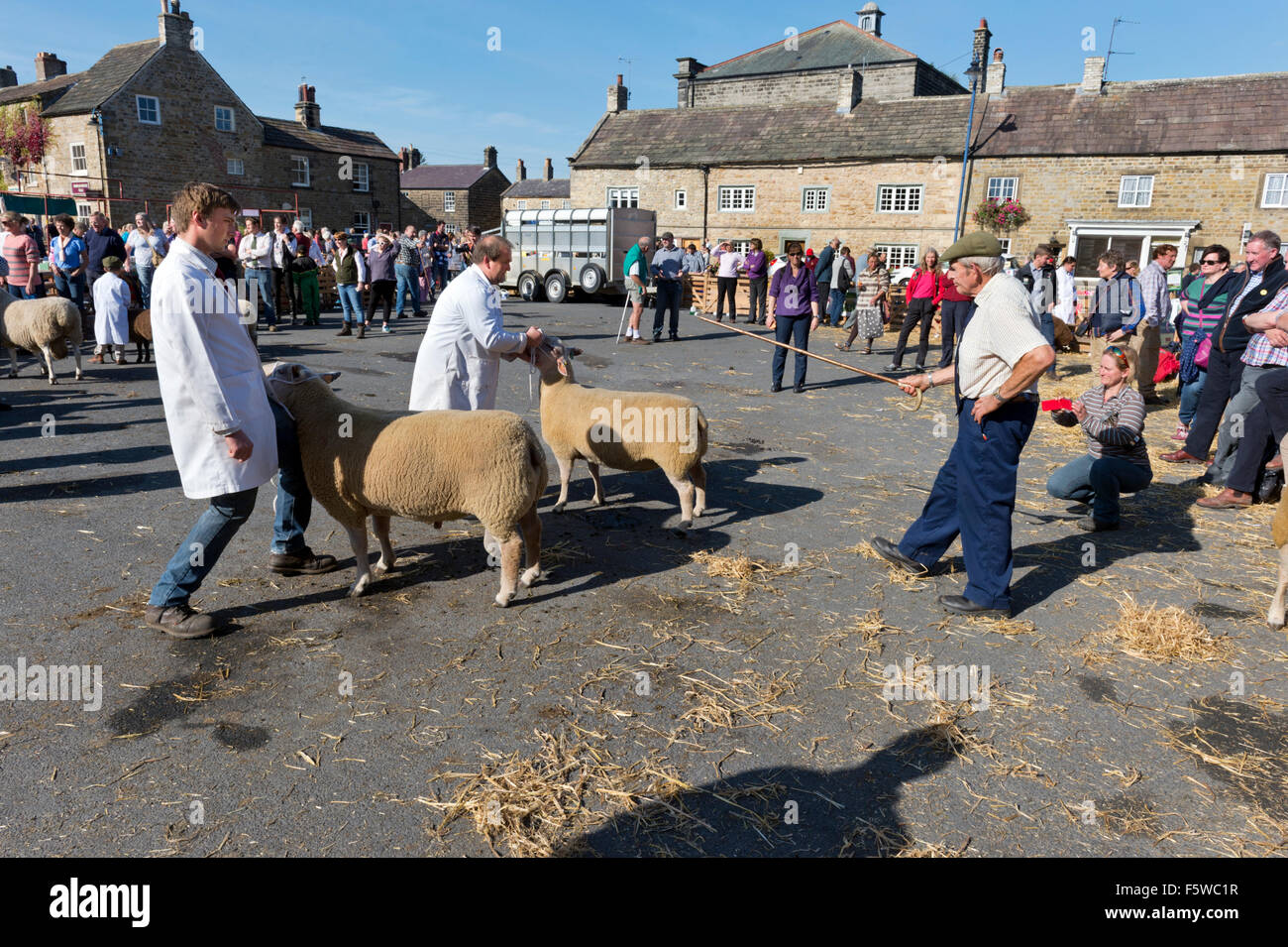 A en juger à l'assemblée annuelle, juste des moutons Masham North Yorkshire, Royaume-Uni, Septembre 2015 Banque D'Images