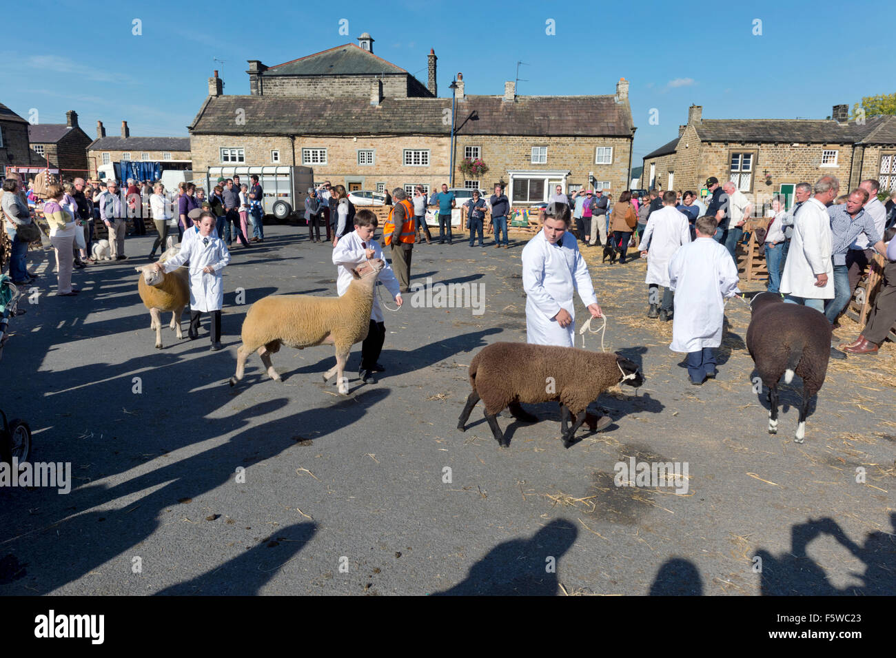 A en juger à l'assemblée annuelle, juste des moutons Masham North Yorkshire, Royaume-Uni, Septembre 2015 Banque D'Images