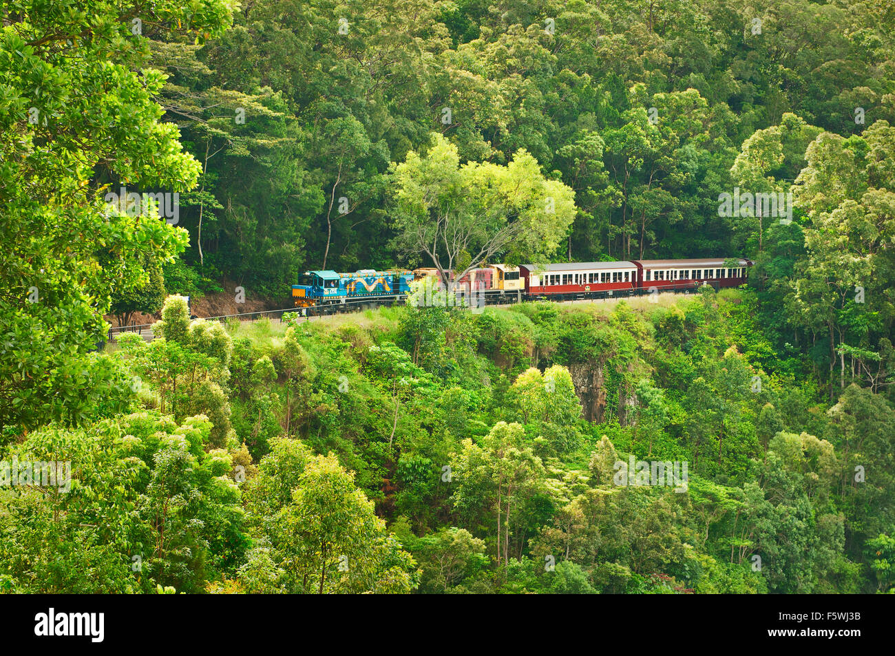 Kuranda Scenic Railway sur son chemin à travers la forêt tropicale jusqu'à Cairns. Banque D'Images