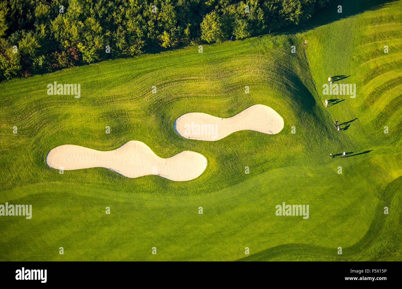 Les golfeurs avec bunker et Green, Golf & More, Duisburg Duisburg Huckingen de Golf, Duisburg, Duisburg, Ruhr Banque D'Images