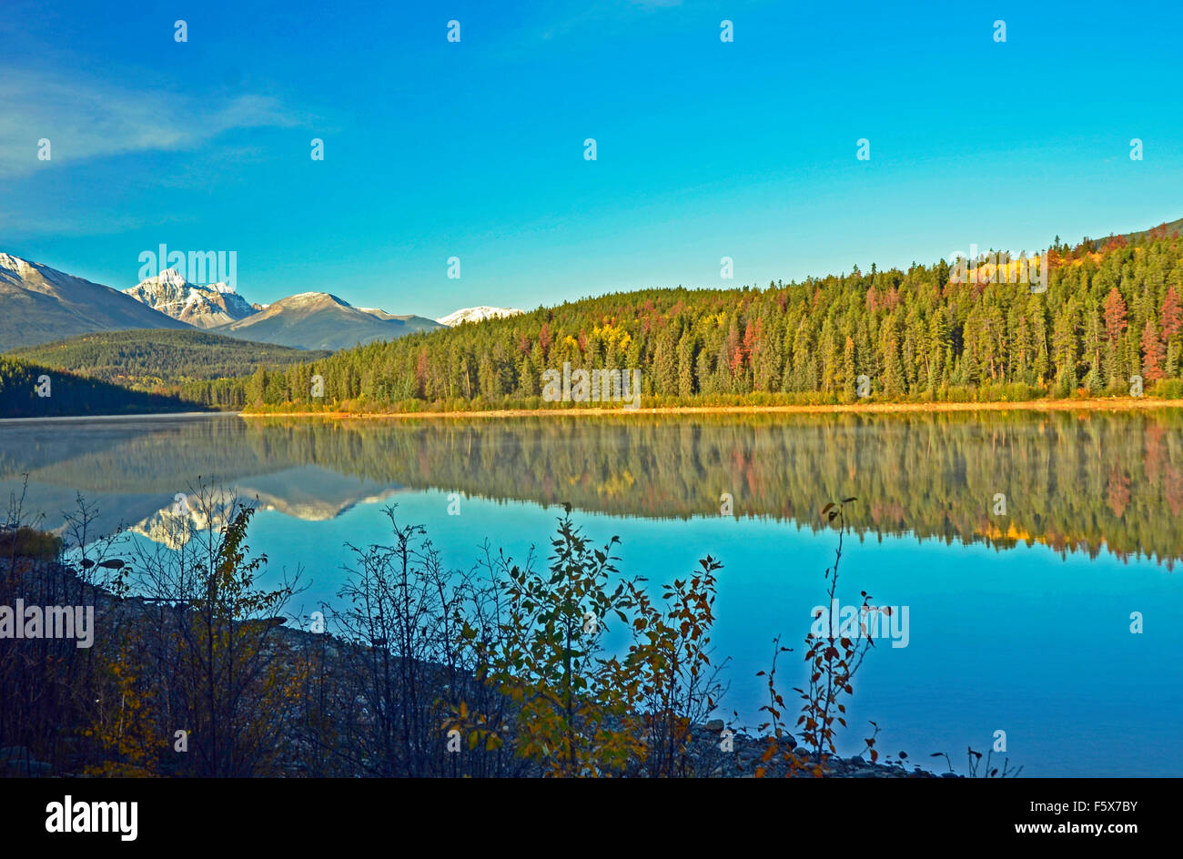 Patricia Lake, Jasper, Alberta Canada Banque D'Images