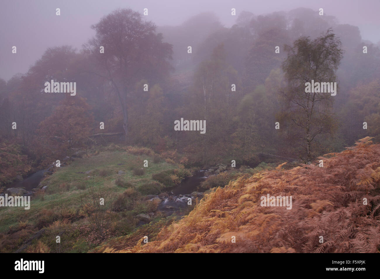 L'automne (octobre) à Hardcastle Crags près de Heptonstall, Calderdale, West Yorkshire, Royaume-Uni Banque D'Images