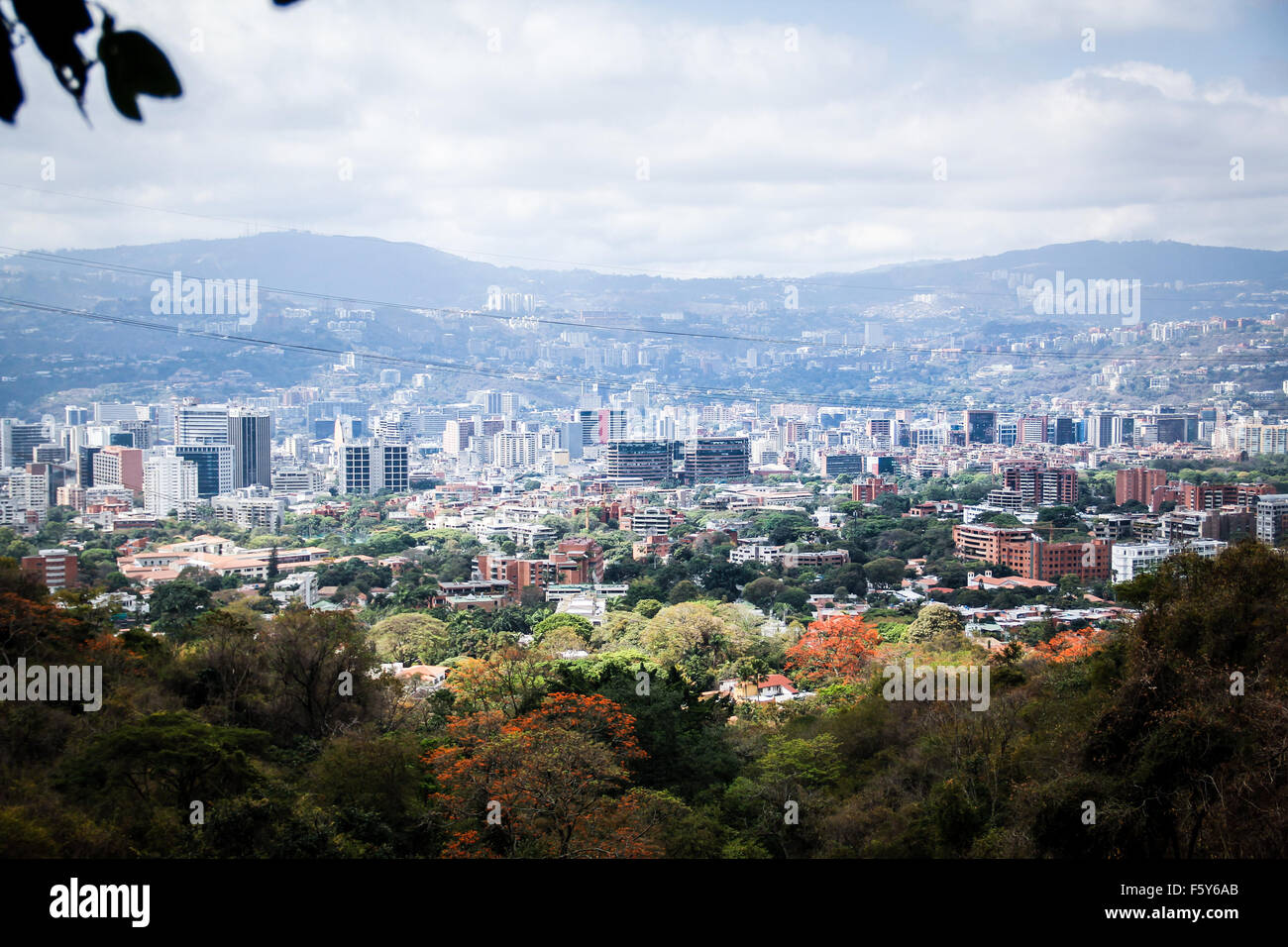 Sabas Nieves, Cerro El Ávila de Caracas, Venezuela 29/03/14 Foto : Richard Borges Díaz "Seigneur Comepiña» Banque D'Images