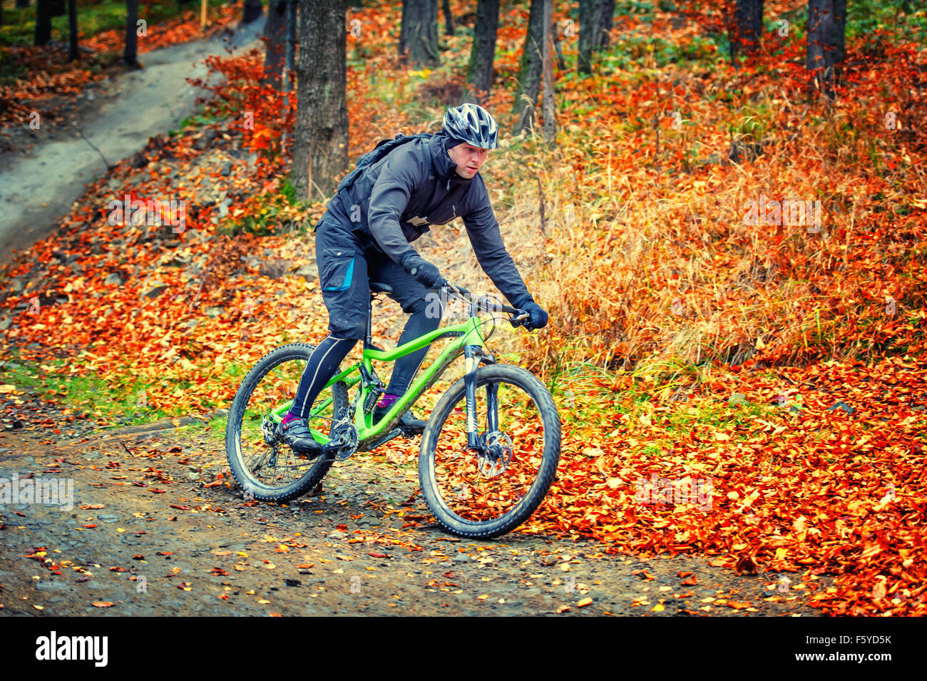 Vélo de montagne équitation en forêt d'automne Banque D'Images