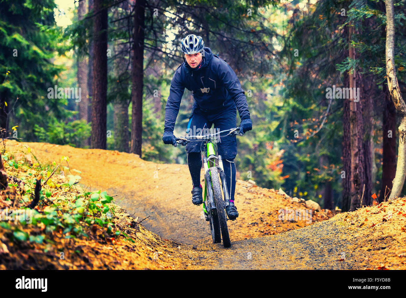 Vélo de montagne équitation en forêt d'automne Banque D'Images