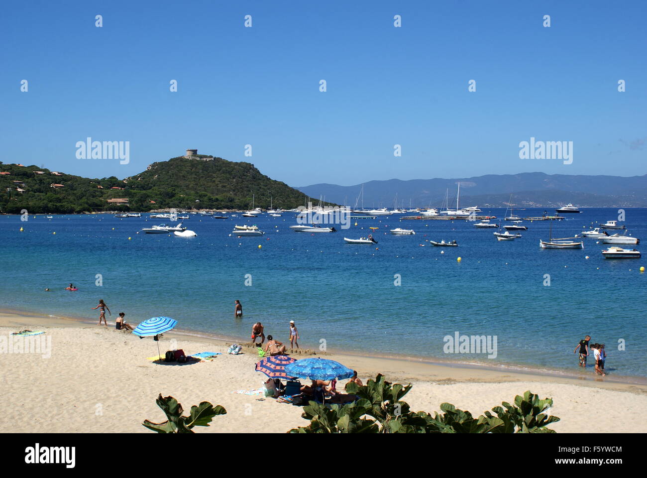 La plage de Campomoro, Corse, France Banque D'Images