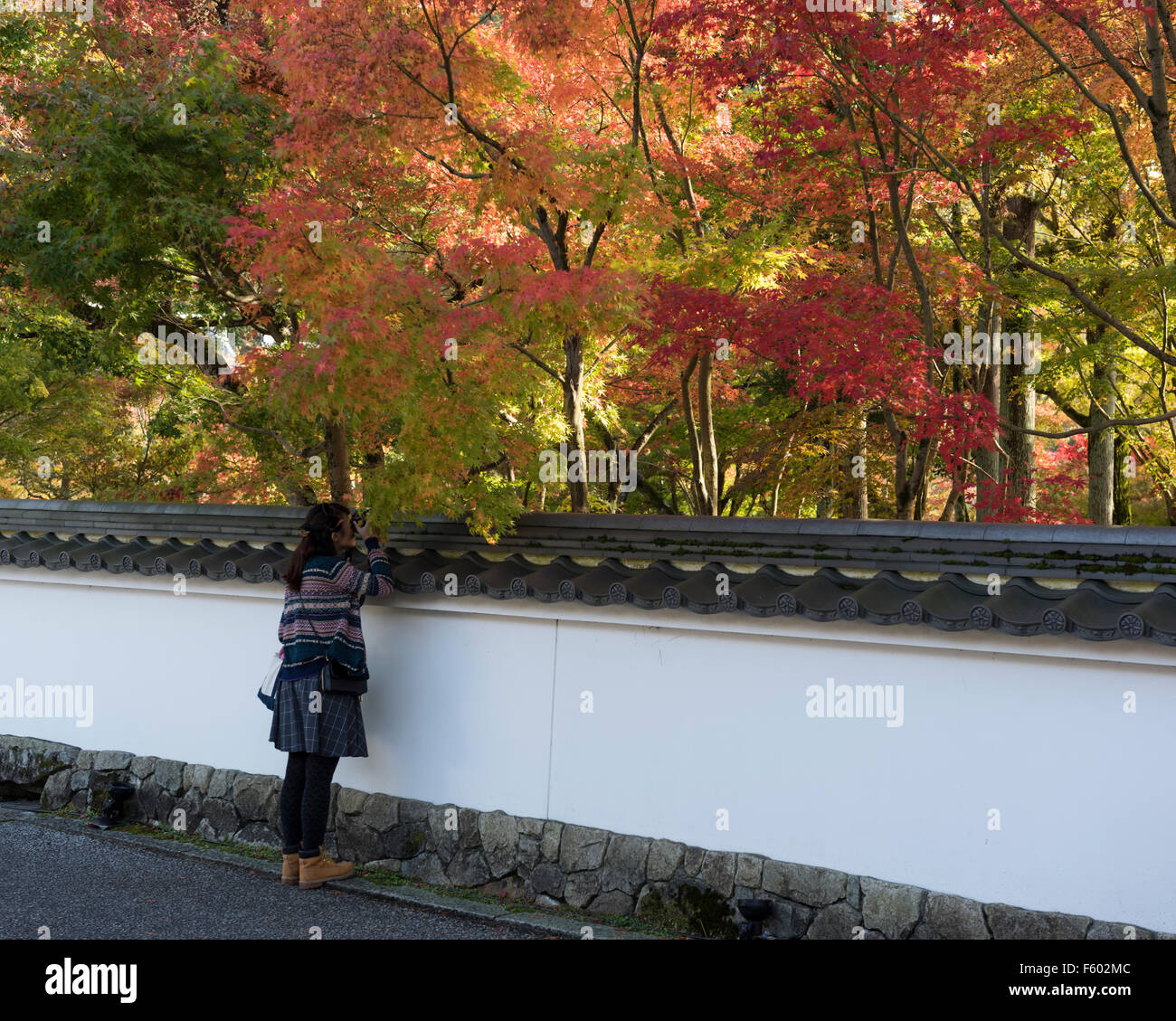 Kyoto, Japon, le 10 novembre 2015. Une visiteuse à l'entrée du temple Zenrinji Eikando prend part à Momijigari . Banque D'Images