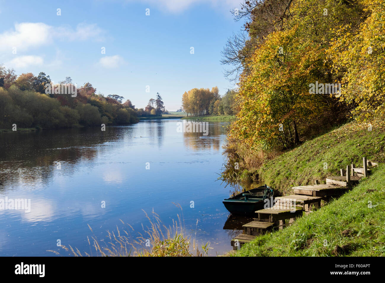 Afficher le long de la rivière Tweed Valley avec bateau amarré par étapes à l'automne. Kelso, Berwickshire, Scottish Borders, Scotland, UK, Grande-Bretagne Banque D'Images