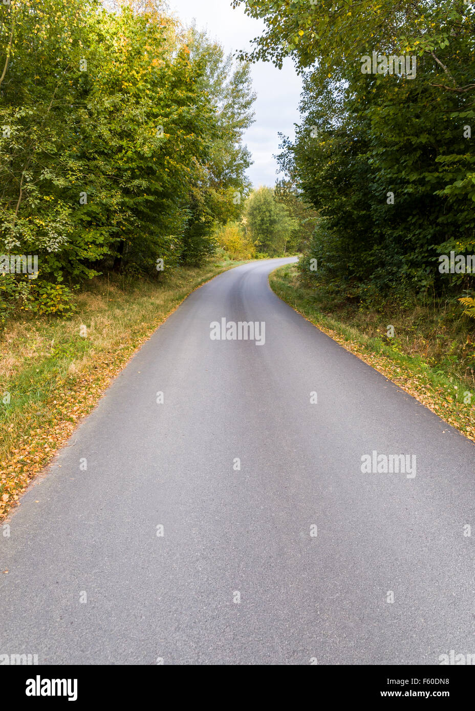 Empty country road à la jonction des Prästväg Ängars Skallsjö et Skallsjö väg, Floda, Suède modèle libération : N° des biens : Non. Banque D'Images