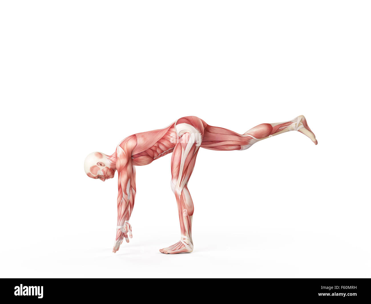 Illustration de l'exercice - une jambe drop Banque D'Images