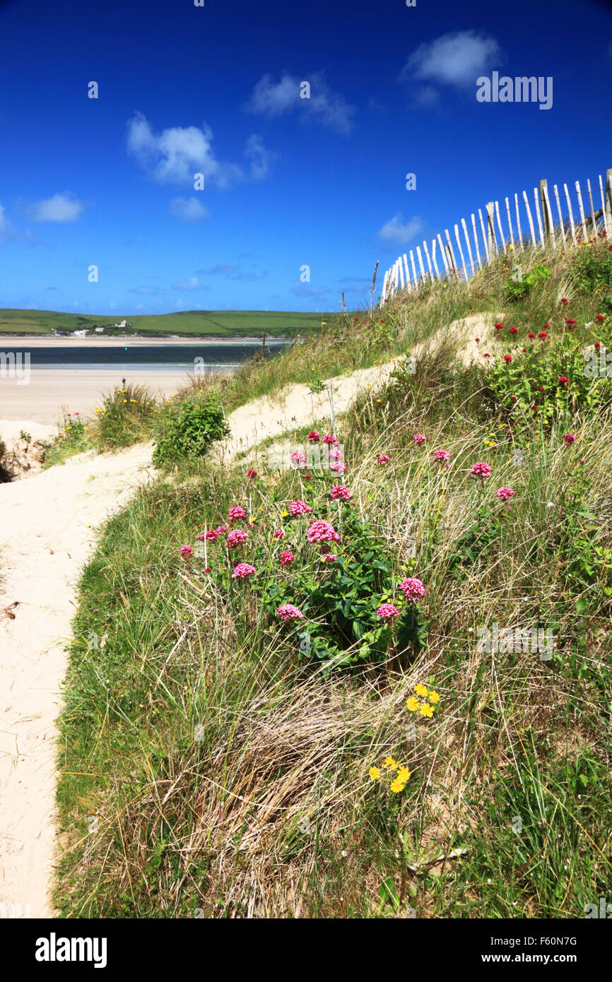 Vue sur l'estuaire de Camel de St Enodoc, Cornwall. Banque D'Images