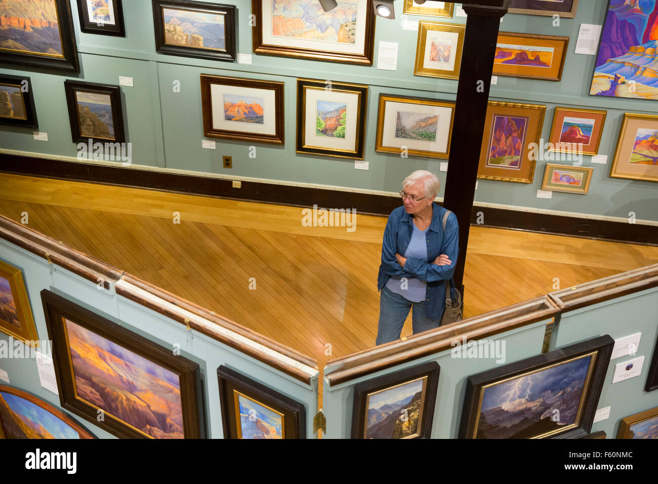 Le Parc National du Grand Canyon, Arizona - les études d'un visiteur d'une exposition de peintures de Studio. Banque D'Images