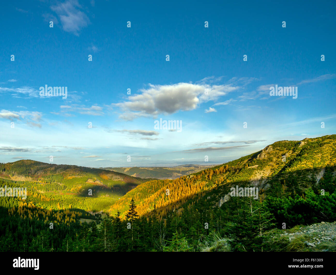 Belle vue sur les vallées et collines couvertes d'épinettes et de mélèzes vu depuis le sentier dans les Tatras, Pologne Banque D'Images