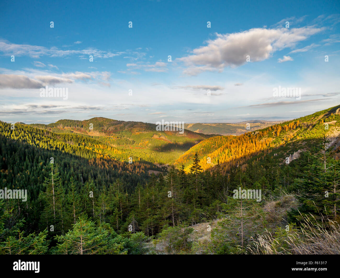 Belle vue sur les vallées et collines couvertes d'épinettes et de mélèzes vu depuis le sentier dans les Tatras, Pologne Banque D'Images