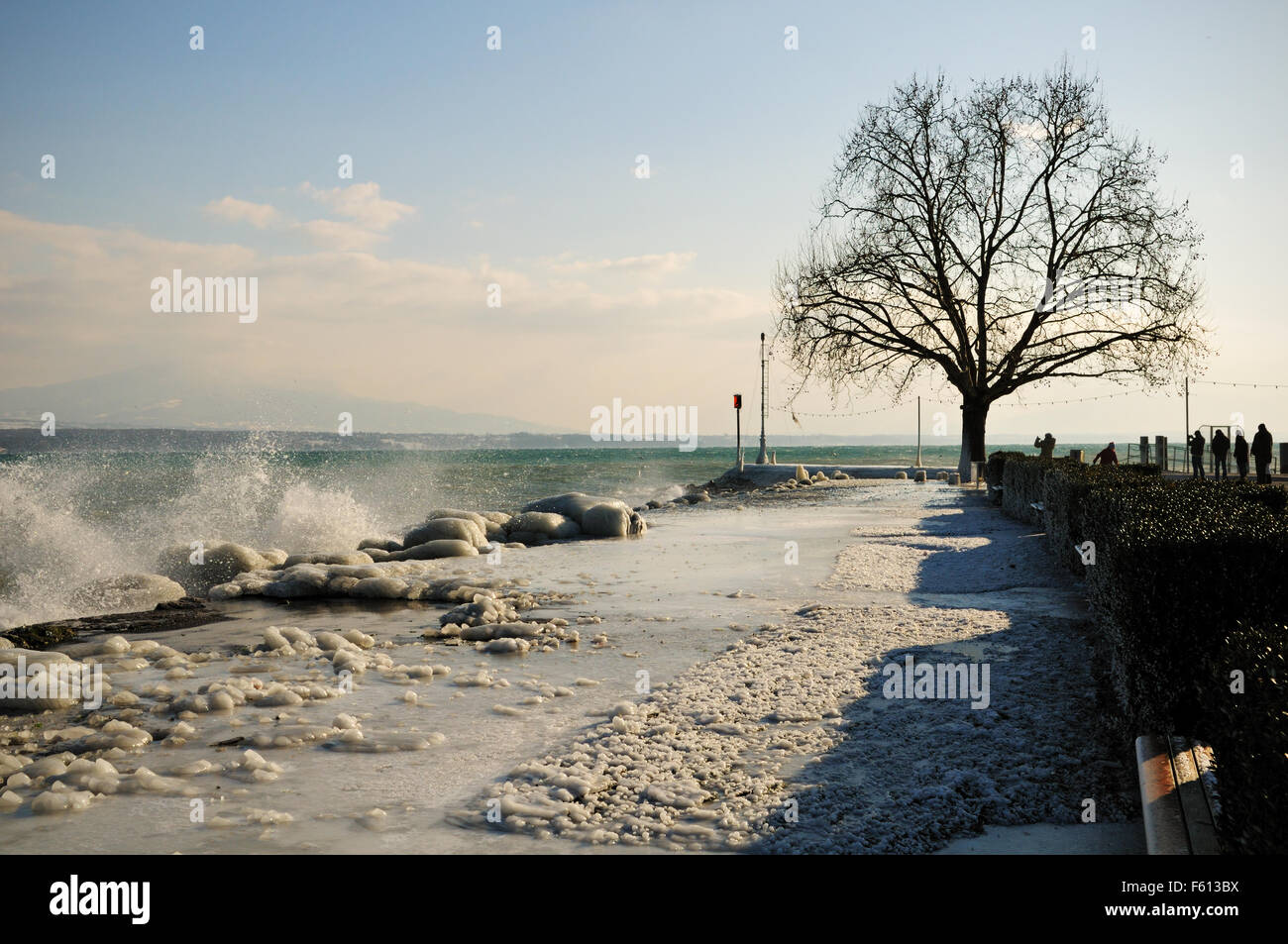 Promenade couverte de glace sur la rive du lac de Genève au cours de la vague de froid de février 2012, à Nyon, Suisse Banque D'Images