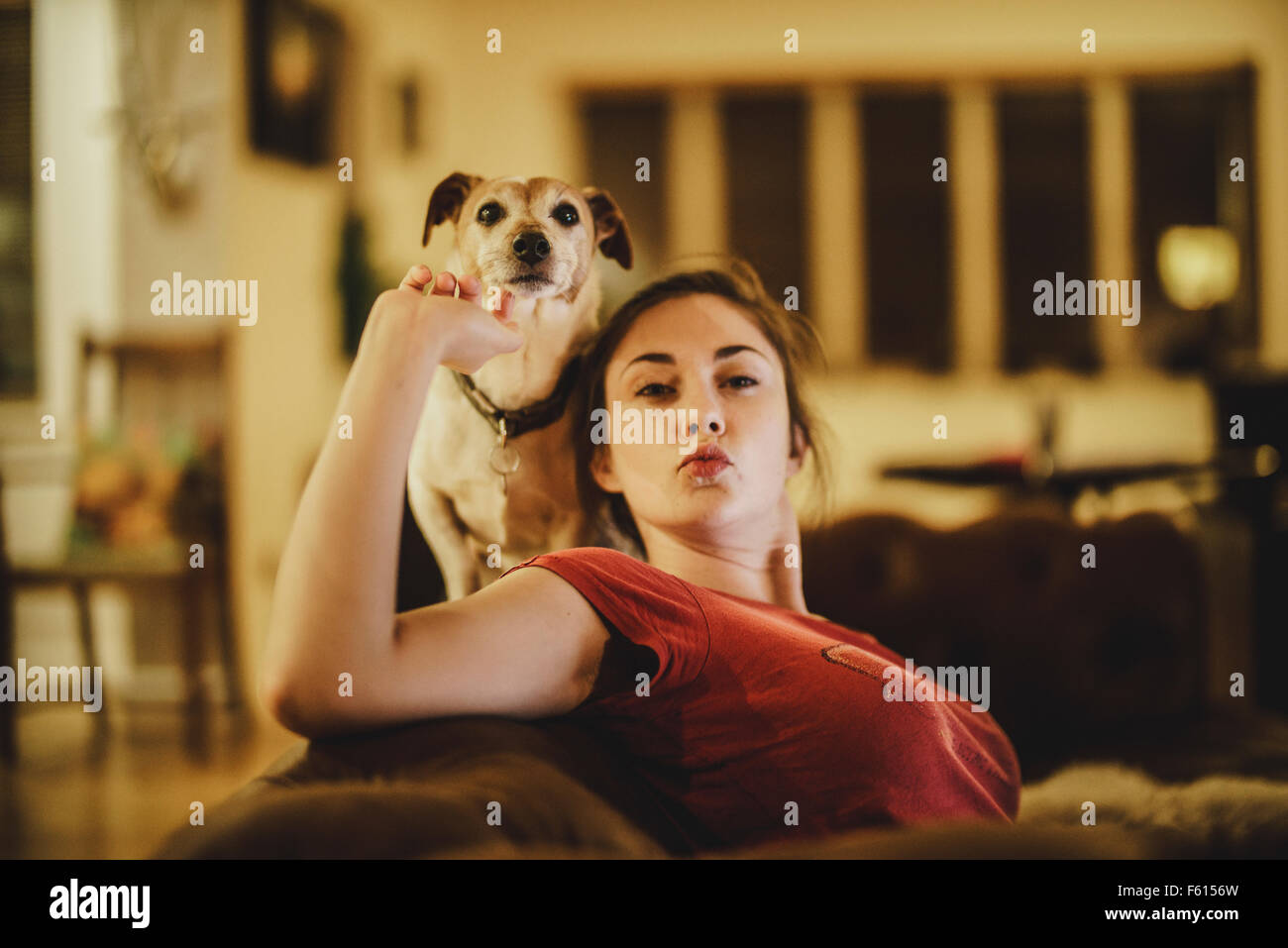 Jack Russell Terrier chien assis sur le dos d'un canapé avec son propriétaire de chatouiller son menton Banque D'Images