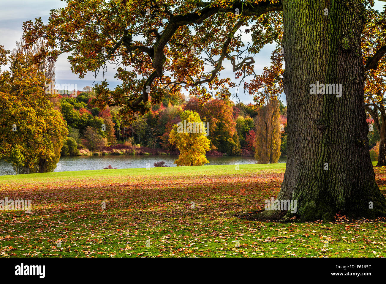 Le parc et le lac sur le Bowood Estate dans le Wiltshire en automne. Banque D'Images