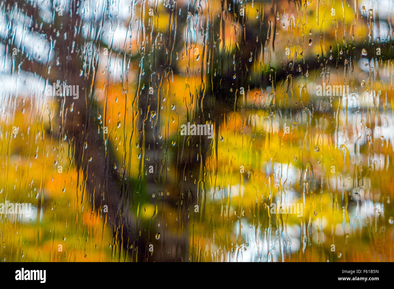 Gouttes d'automne sur la fenêtre du flou couleurs d'automne au-delà Banque D'Images