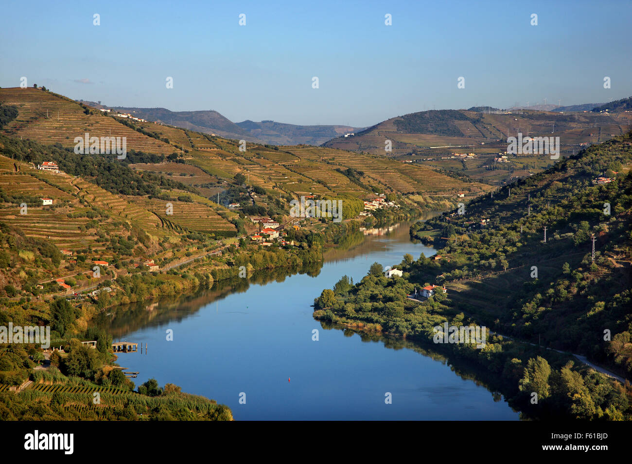 Vignobles de la vallée du Douro au coeur de la région viticole du Haut-Douro (patrimoine mondial de l'UNESCO, Site), Porto e Norte, Portugal Banque D'Images