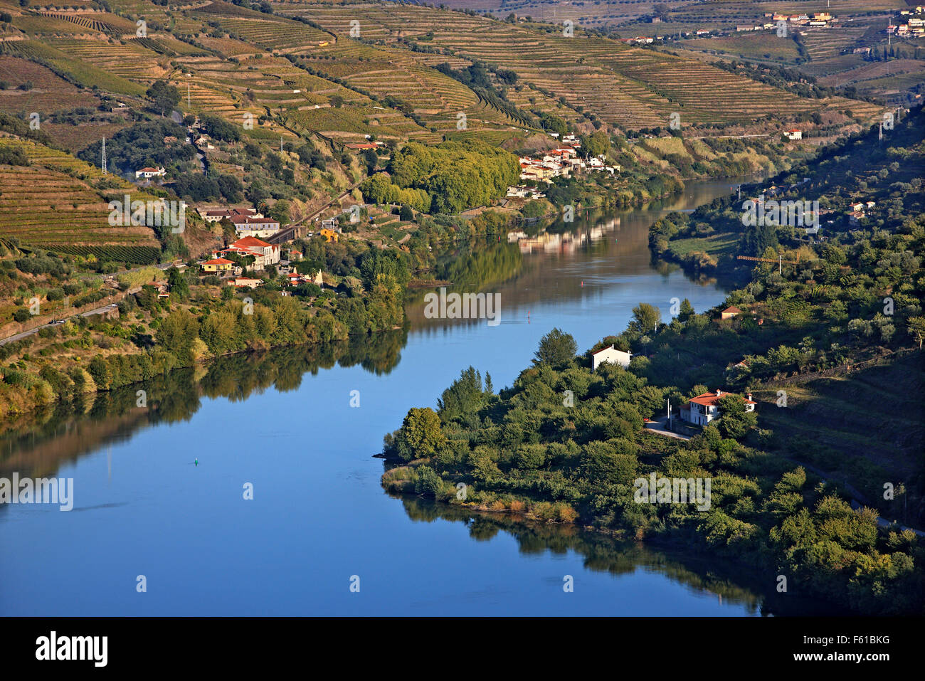 Vignobles de la vallée du Douro au coeur de la région viticole du Haut-Douro (patrimoine mondial de l'UNESCO, Site), Porto e Norte, Portugal Banque D'Images