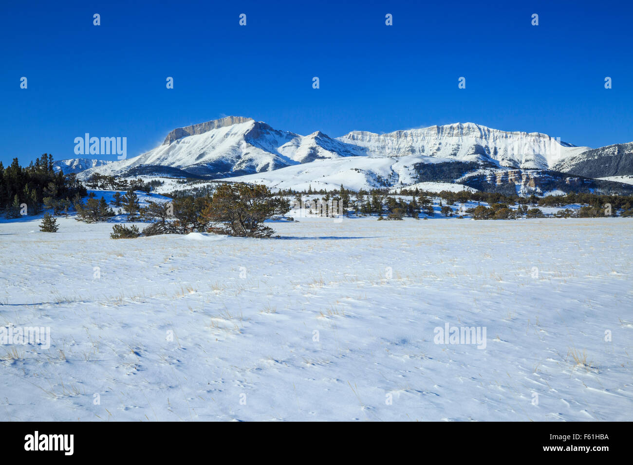ear montagne le long du front de montagne rocheux en hiver près de choteau, montana Banque D'Images