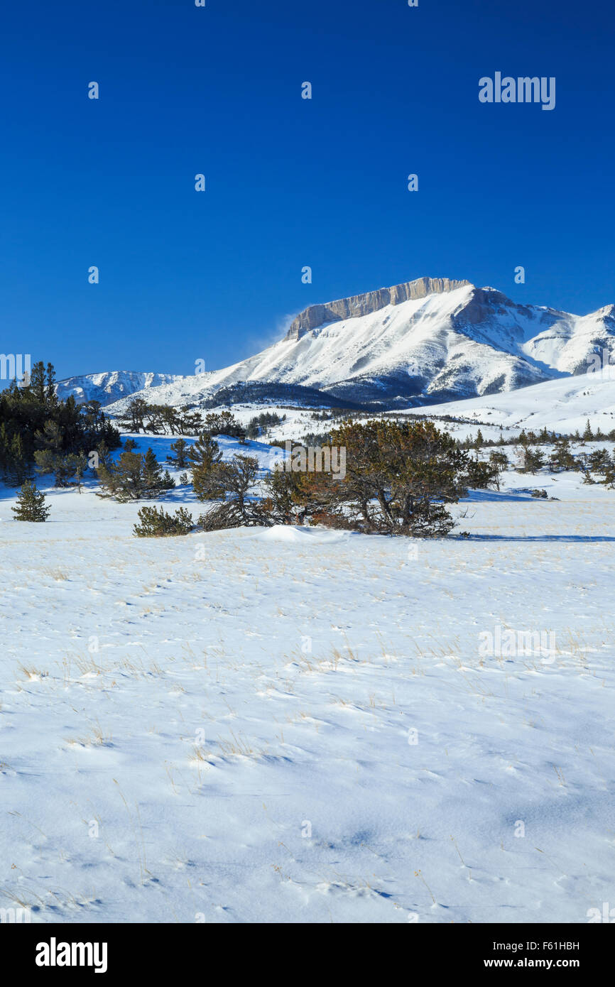 ear montagne le long du front de montagne rocheux en hiver près de choteau, montana Banque D'Images