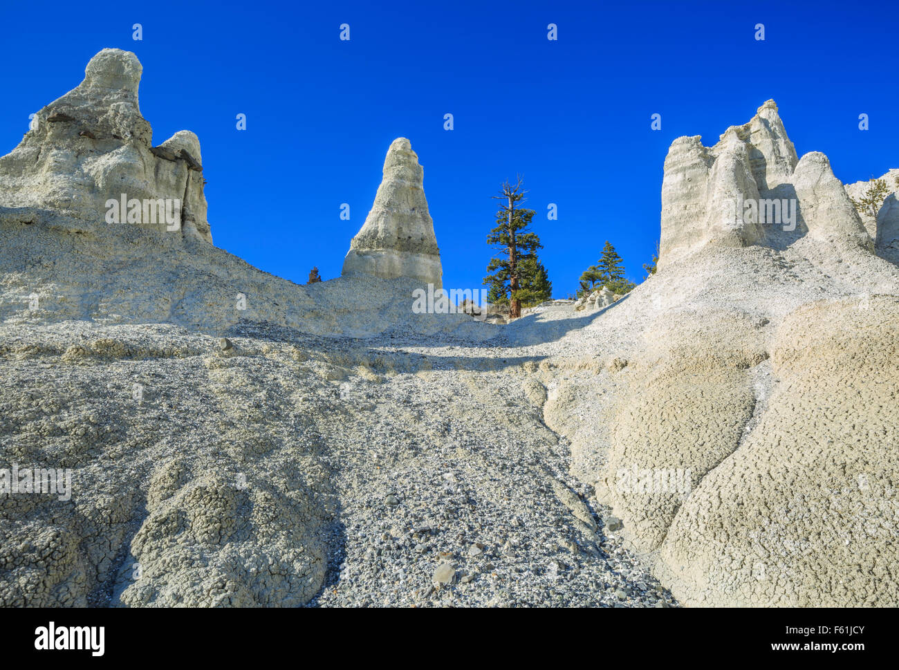 Pinacles érodés des cendres volcaniques et des sédiments tertiaires dans le secteur de terre blanche près de Winston, Montana Banque D'Images