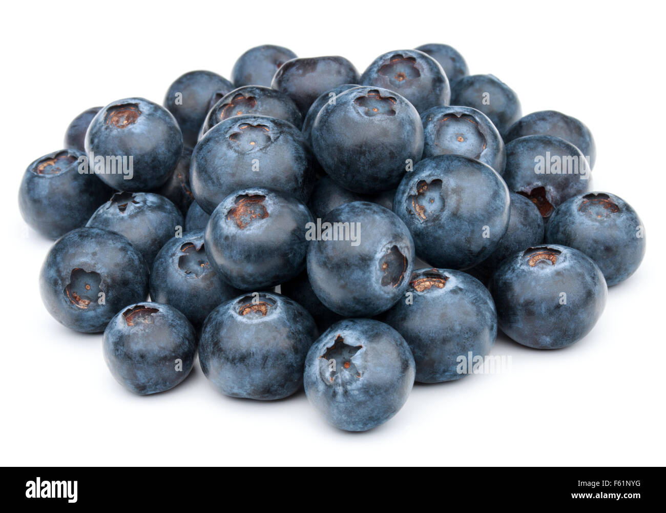 Myrtille ou airelle ou blackberry ou bleu whortleberry ou huckleberry isolé sur fond blanc dentelle Banque D'Images