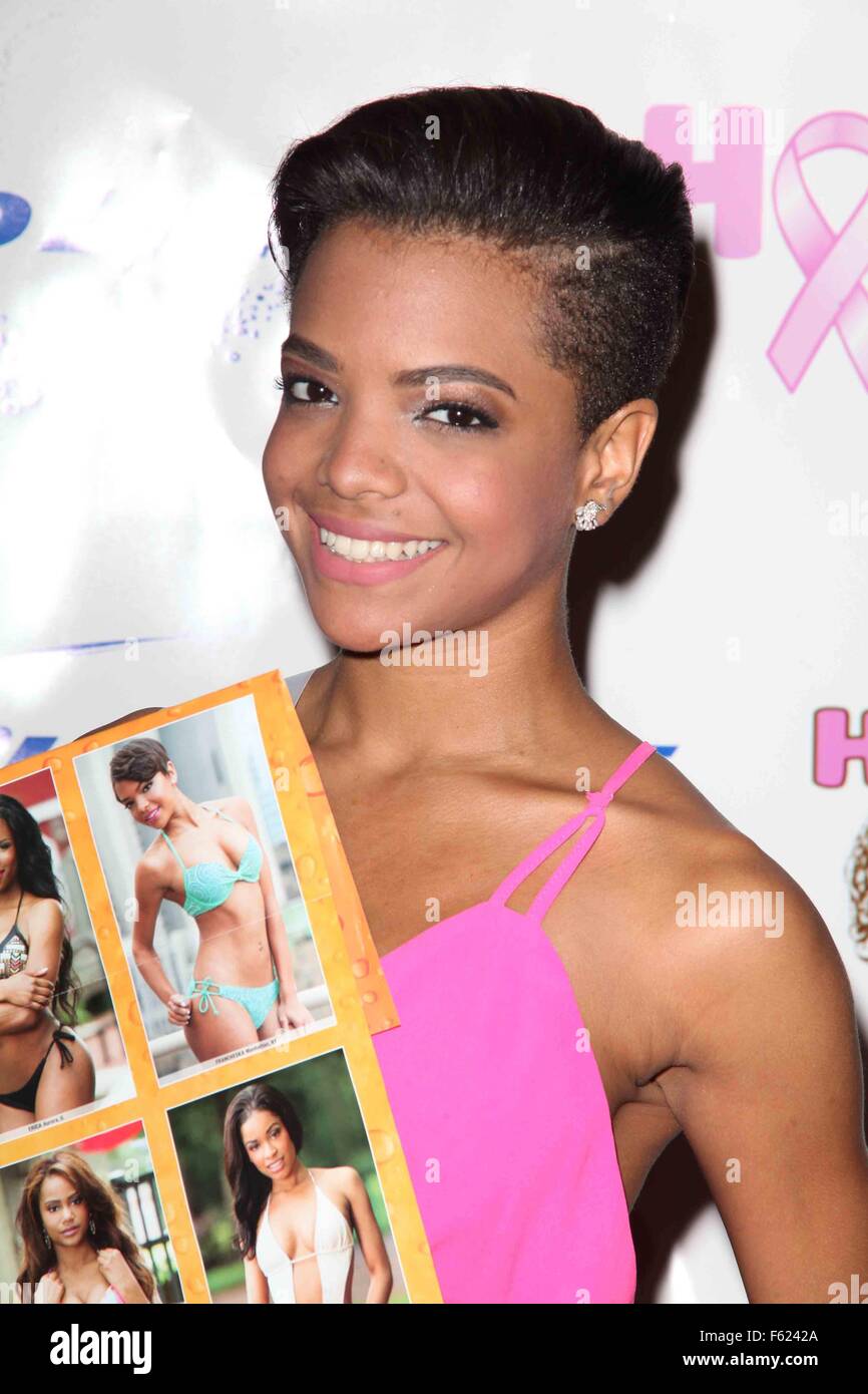 Calendrier Hooters 2016 révéler - Appuyez sur Preview comprend : Francheska Matre Où : NYC, New York, United States Quand : 02 Oct 2015 Banque D'Images